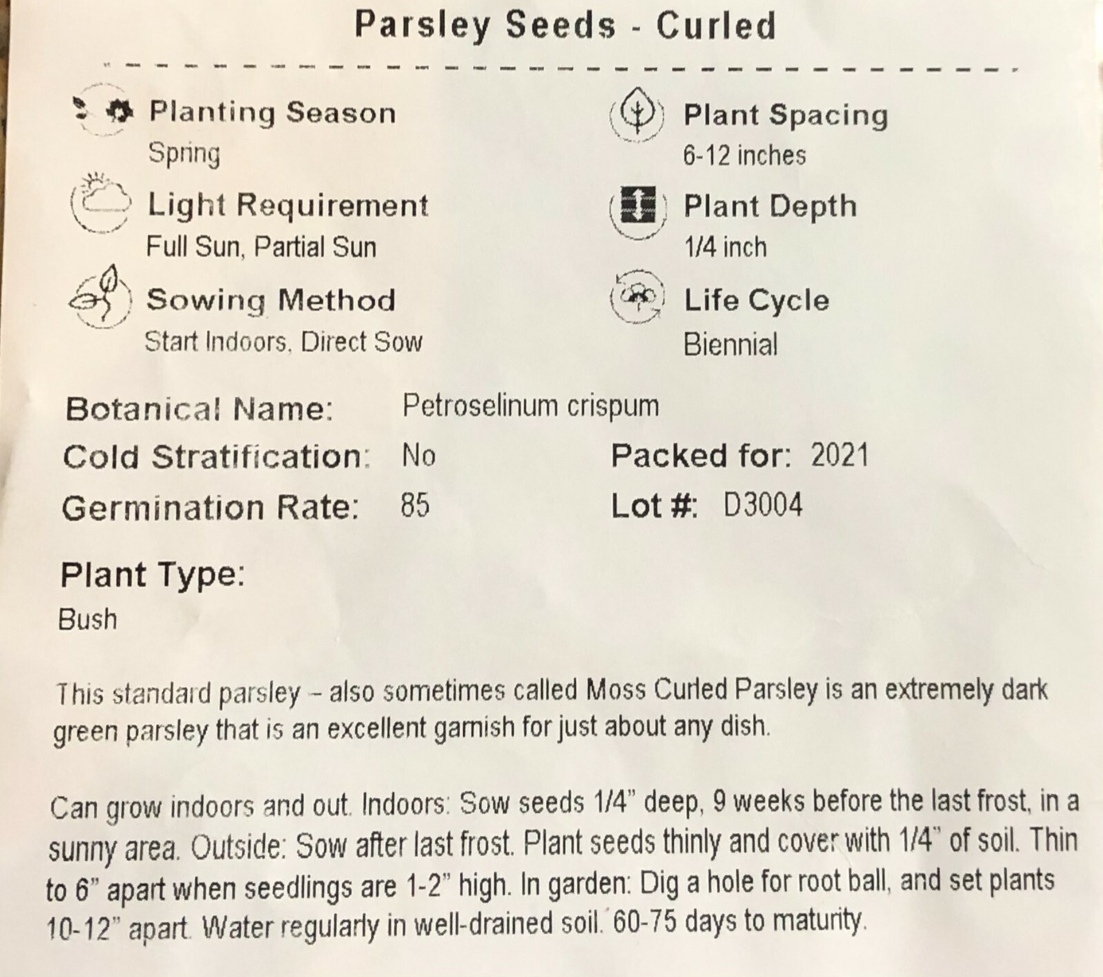 PARSLEY SEEDS CURLED Black Swallowtail Butterfly Host Plant Non-GMO 300 Seeds