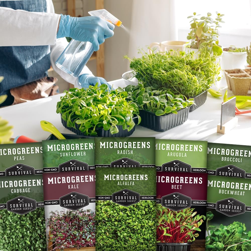 Microgreen Seeds Variety Pack – 10 Heirloom Types for Indoor Sprouting