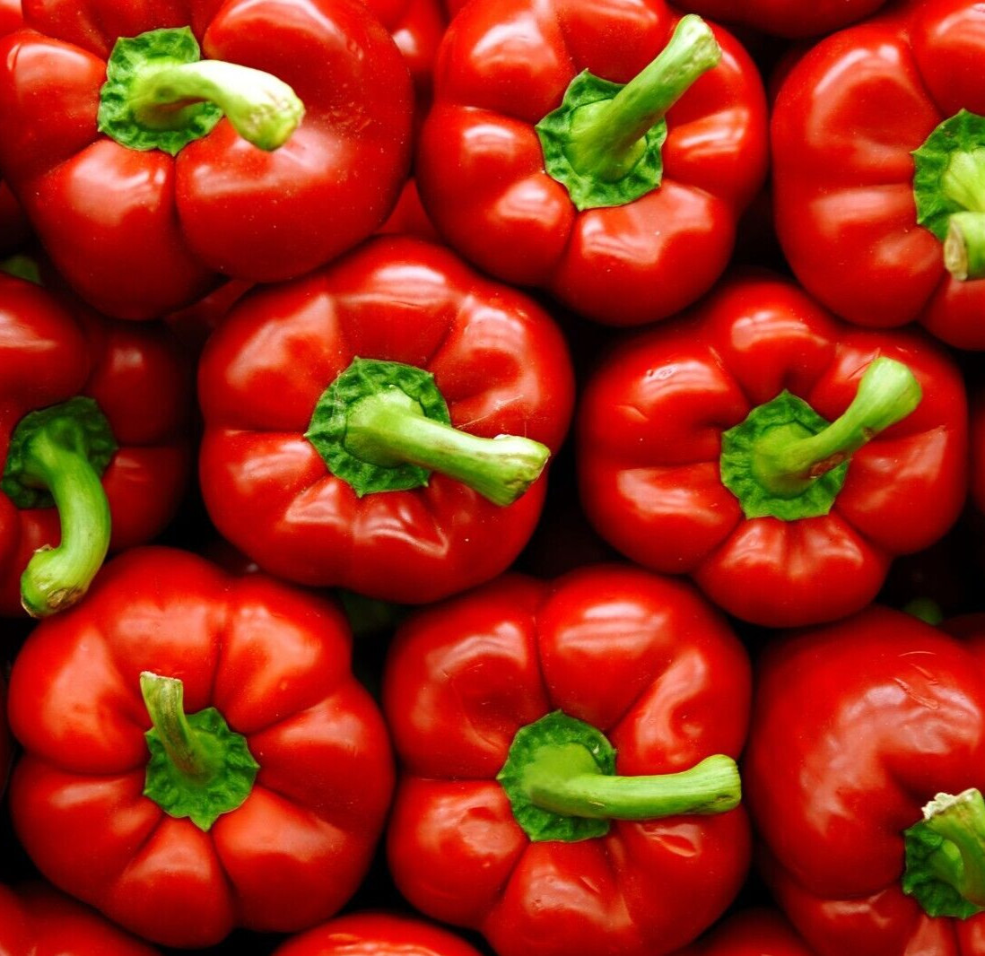 BIG RED BELL PEPPER SEEDS 50+ SWEET vegetable GARDEN plants CAPSICUM non-gmo