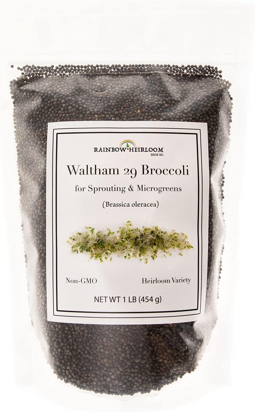 Broccoli Seeds for Sprouting & Microgreens | Waltham 29 Variety | Non GMO & H…