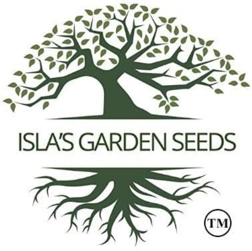 100+ Heirloom Non-GMO Sugar Beet Seeds for Bountiful Harvests – Easy to Grow