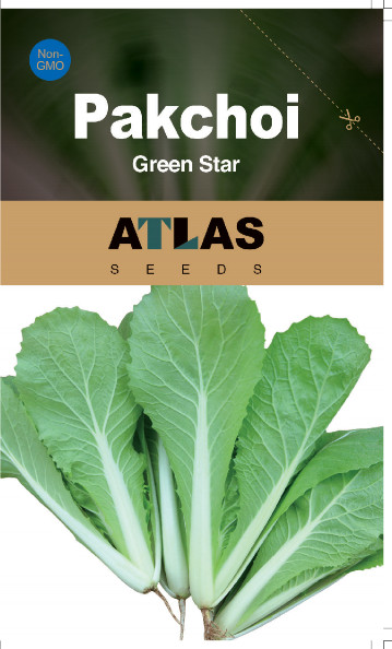 Pakchoi -Green Star