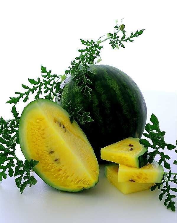 20+ Golden Honey Watermelon Seeds – NON GMO – Heirloom – FRESH