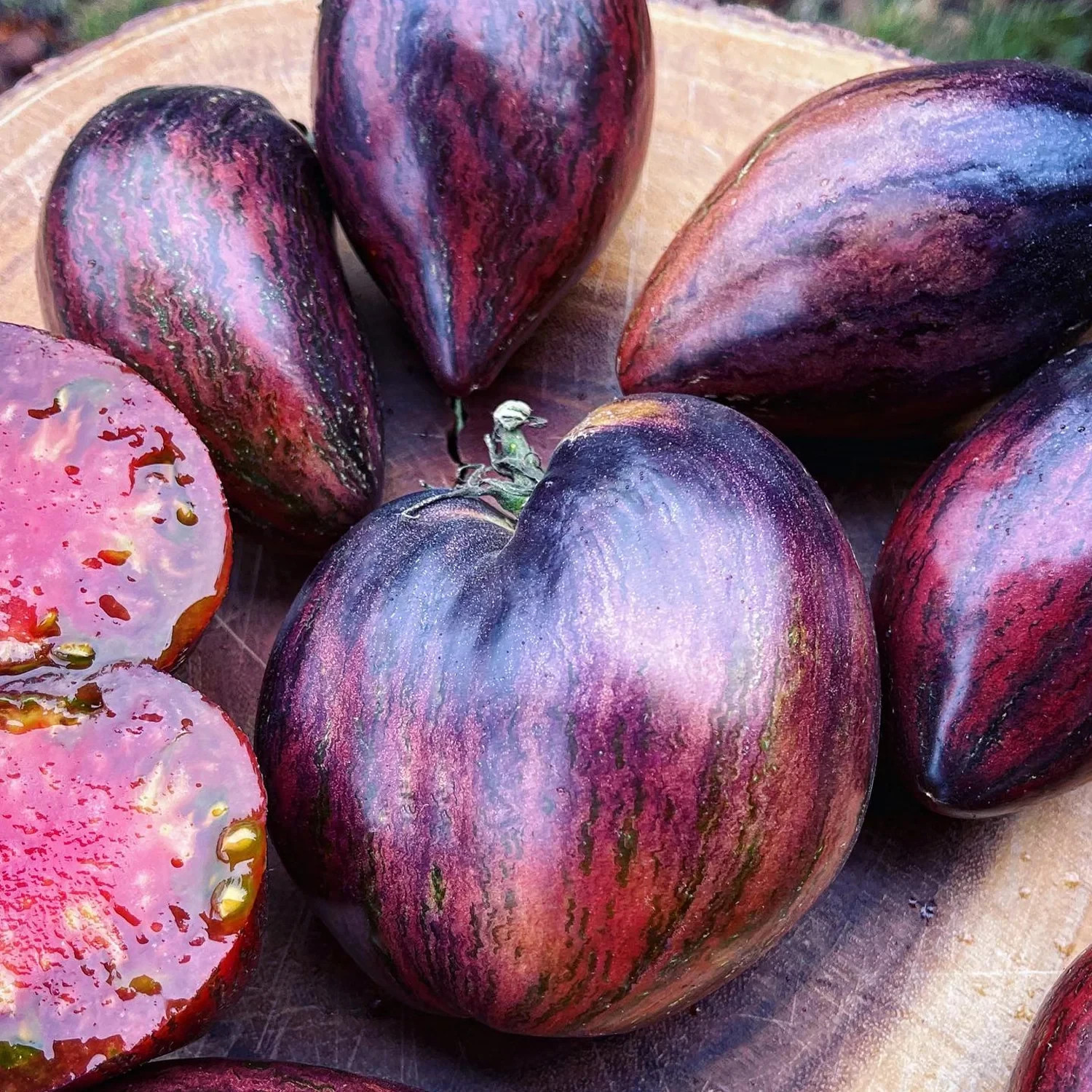 10 seeds Rebel Starfighter Prime Heart Tomato Rare ORGANIC Variety