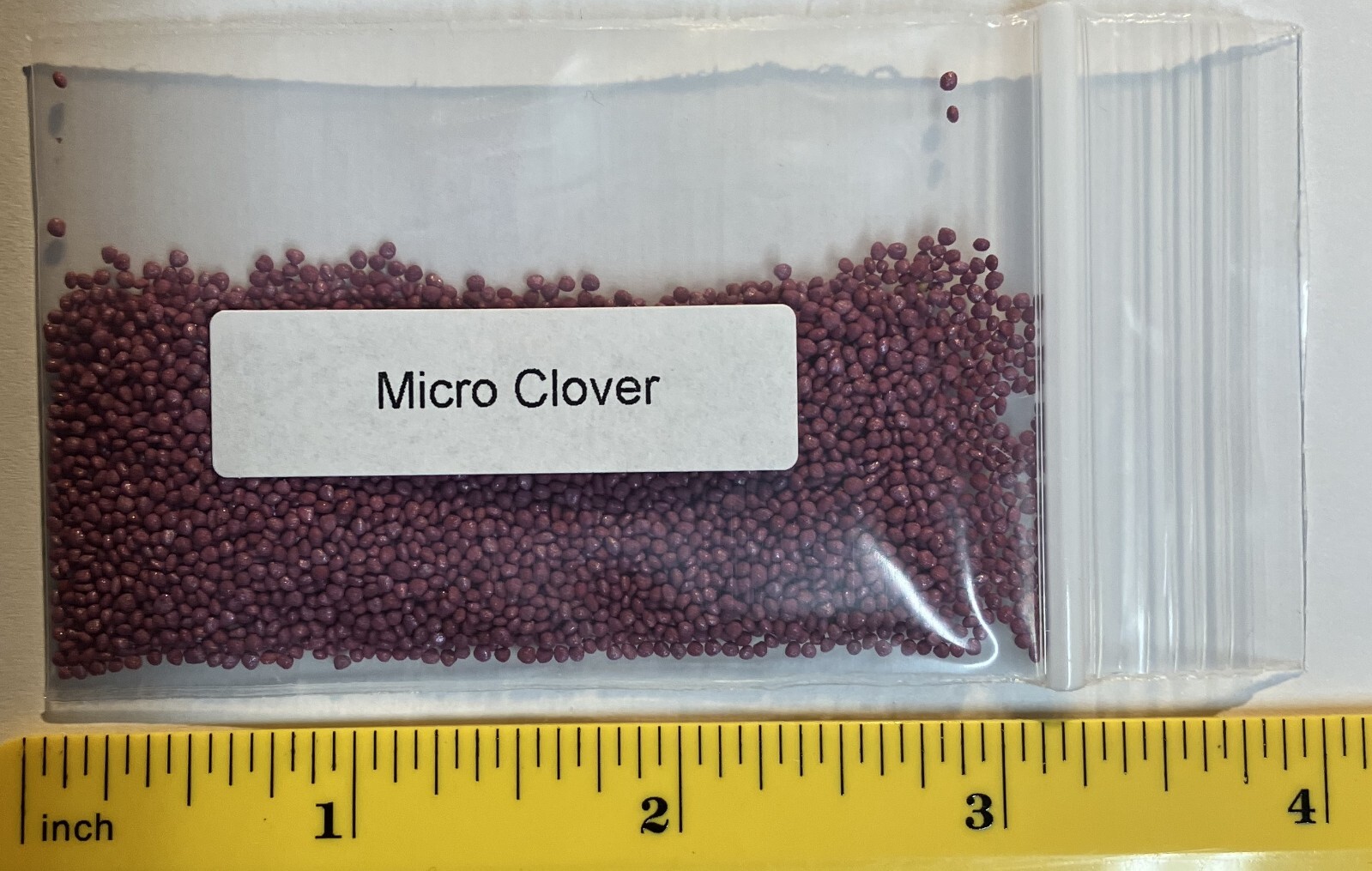 Micro clover seeds 1000-2000 seeds – ground cover – drought resistant