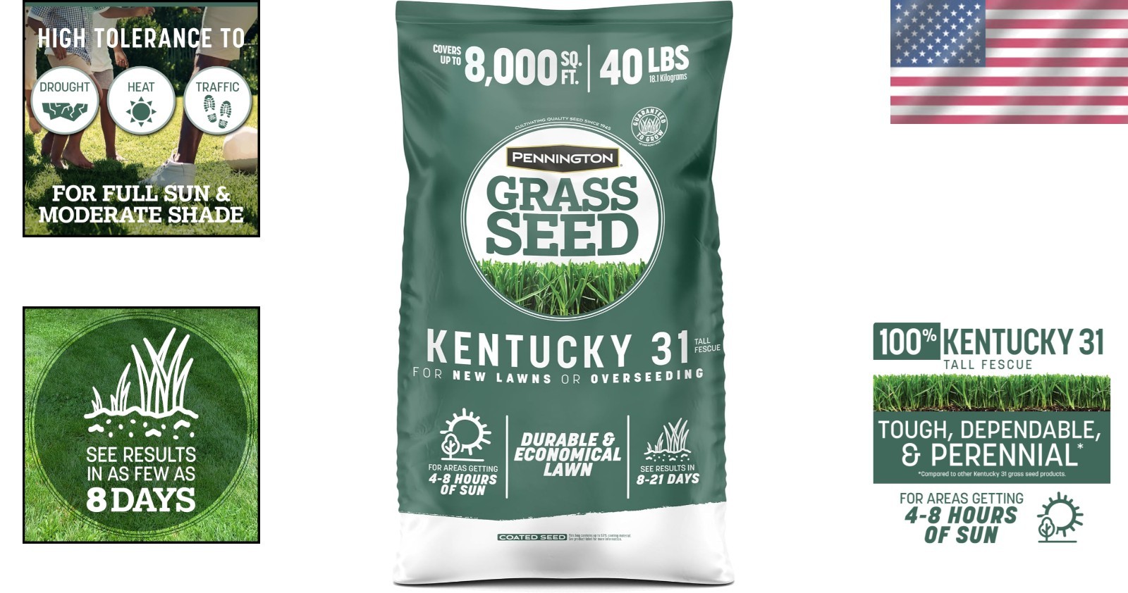 Thick Blades for Summer: Tall Fescue Grass Seed