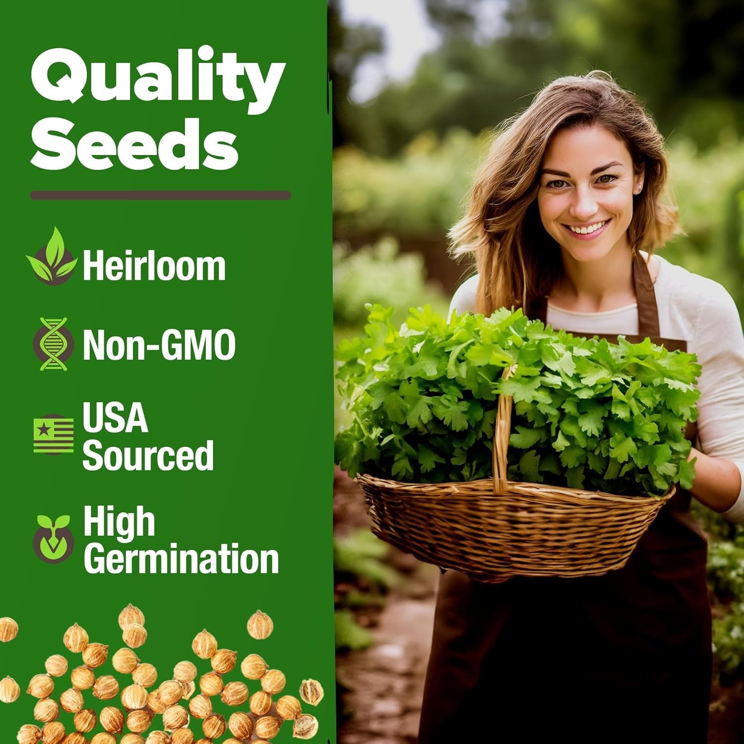 Indoor & Outdoor Heirloom Cilantro Seeds – Practical Gift for Plant Lovers