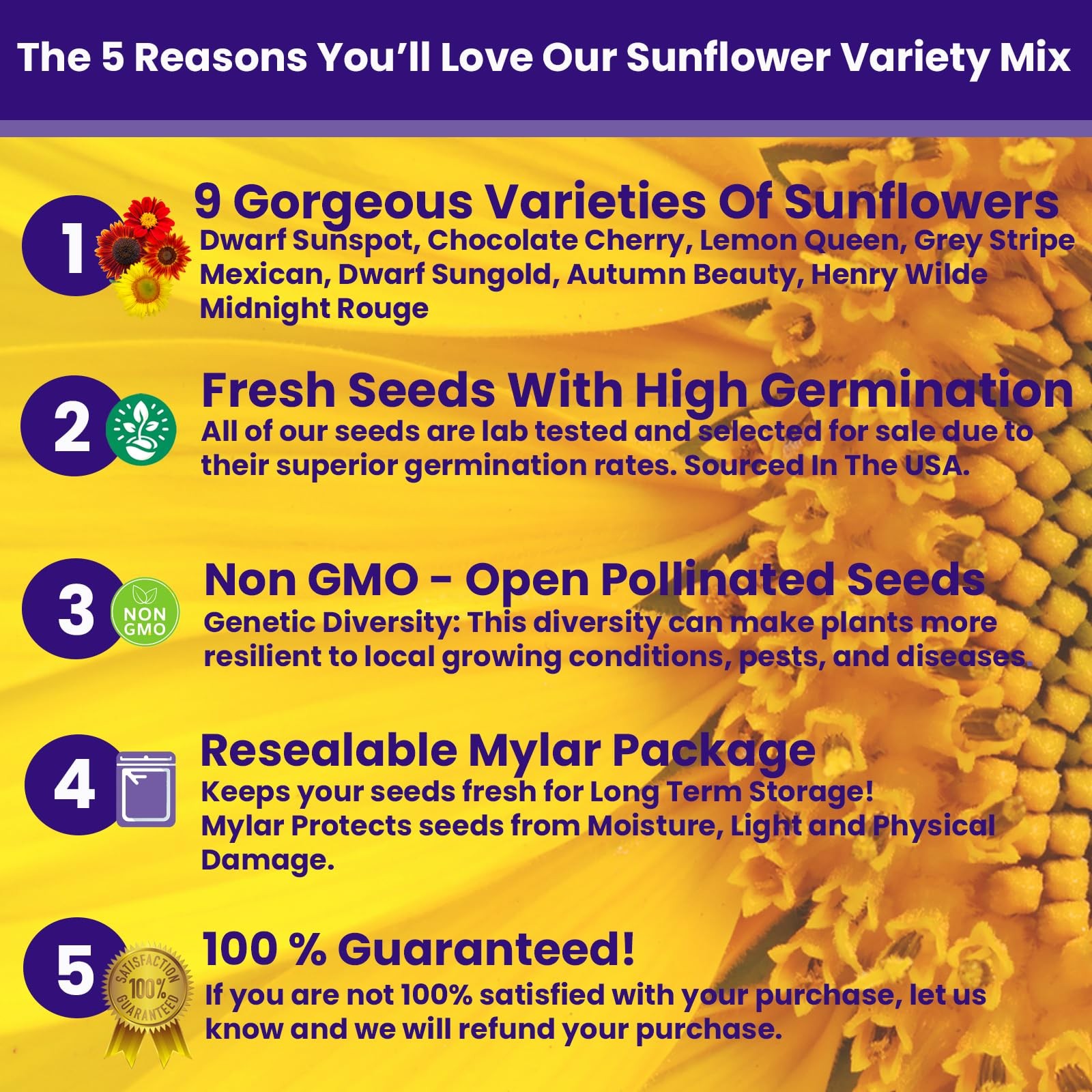 2600+ Sunflower Seeds for Planting Bulk Variety Pack, Get More Sunflower Seed…