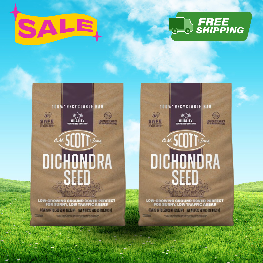 [FASH SALE] Scotts O.M. Scott & Sons Dichondra Grass Seed 1.5 lb (2 Pack) New