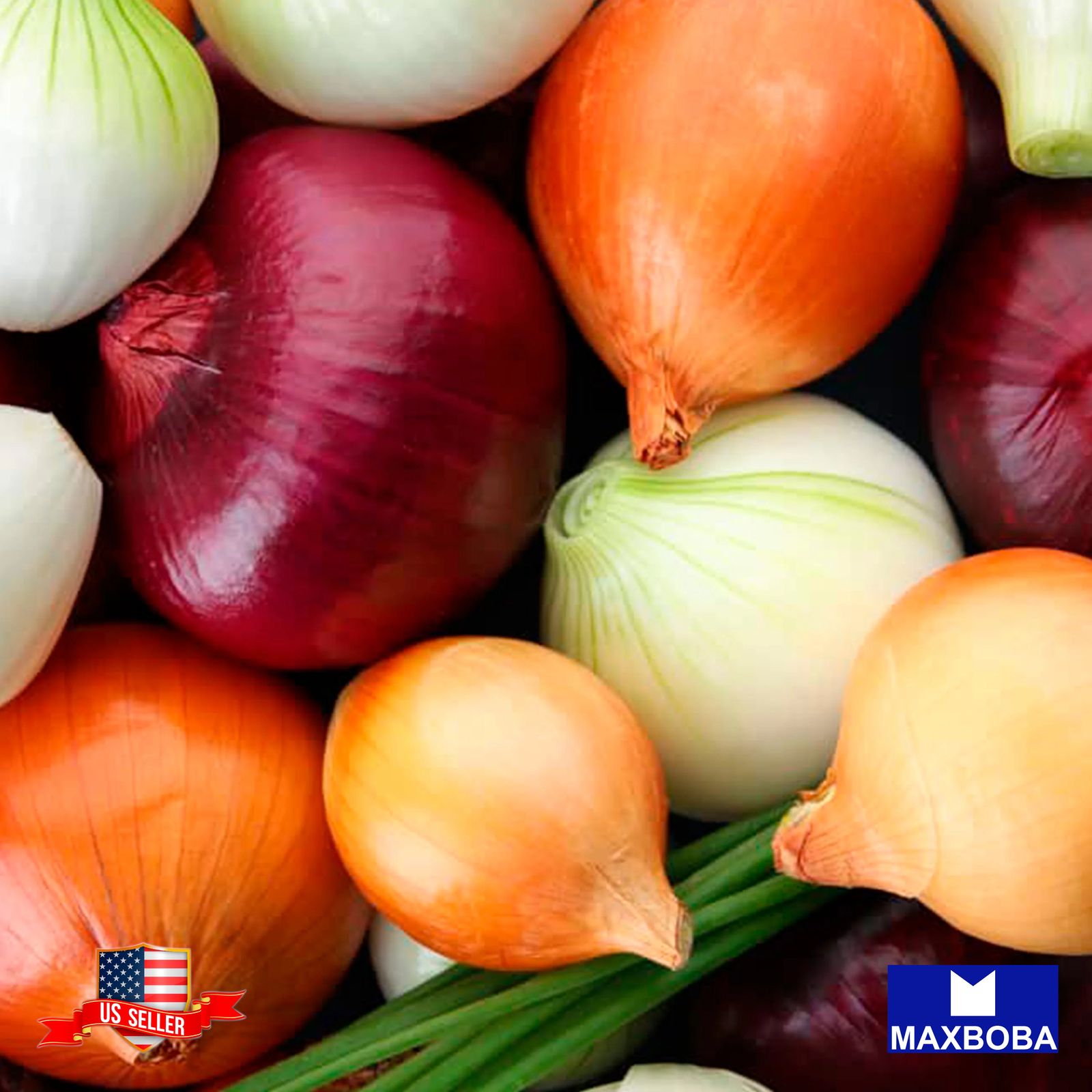 Fresh!! Onion Seeds Non-GMO Heirloom Vegetable