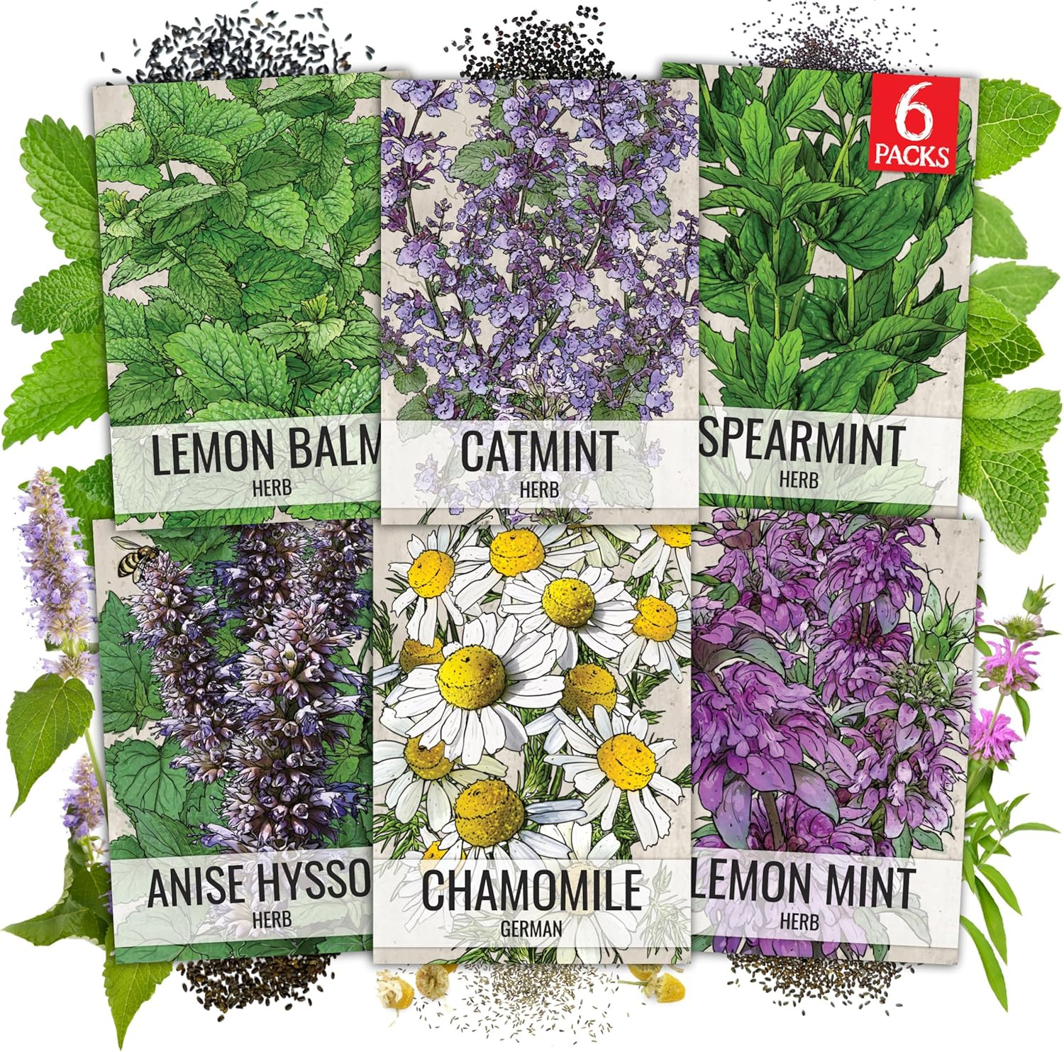 Herb Seeds Variety Pack Culinary Herb Collection (12 Individual Packets for Plan