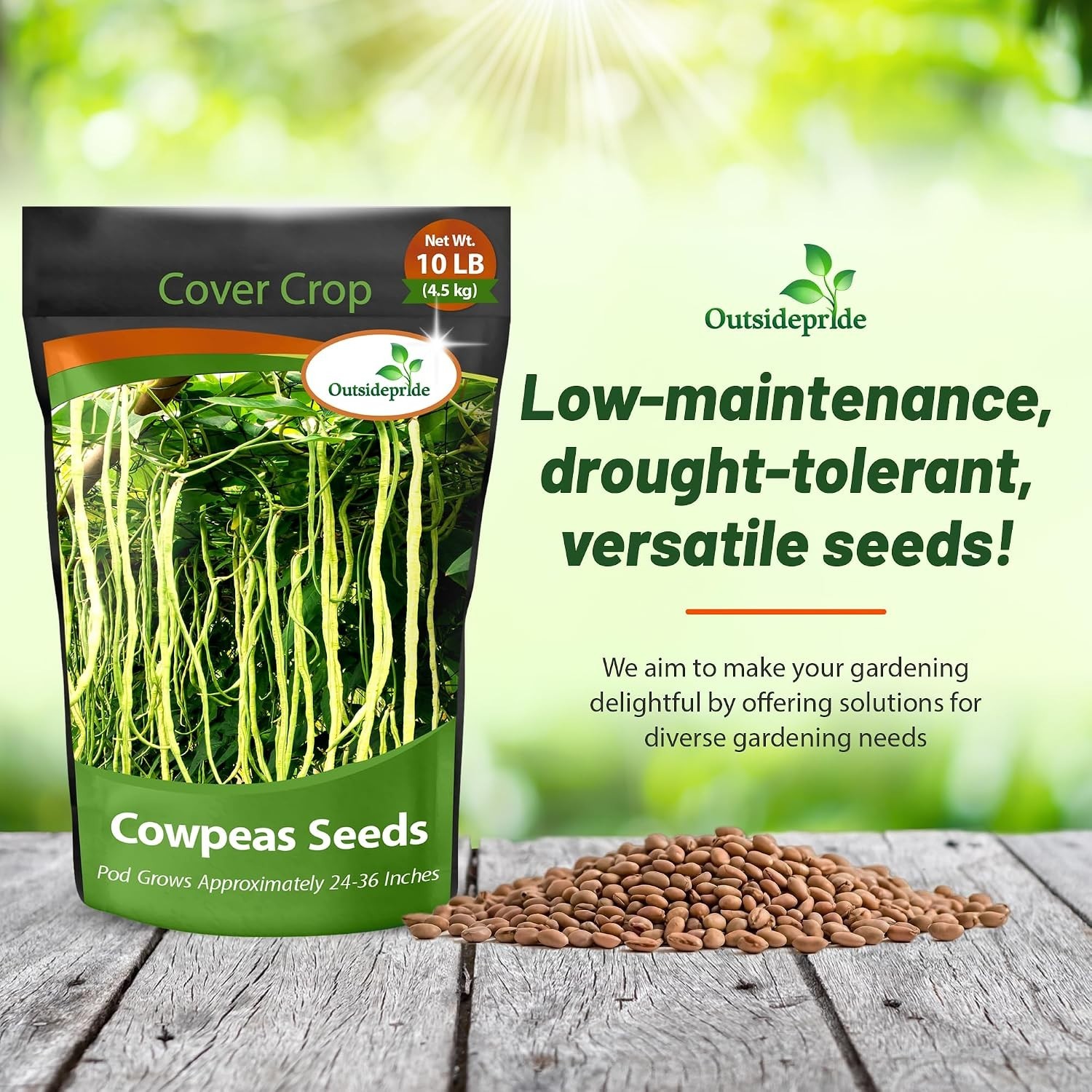 Nutrient-Rich Cowpeas Seeds – 10 lbs Cover Crops & Forage