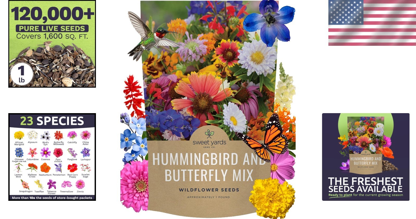 Bulk Wildflower Mix Seeds – 120,000+ Annual Perennials