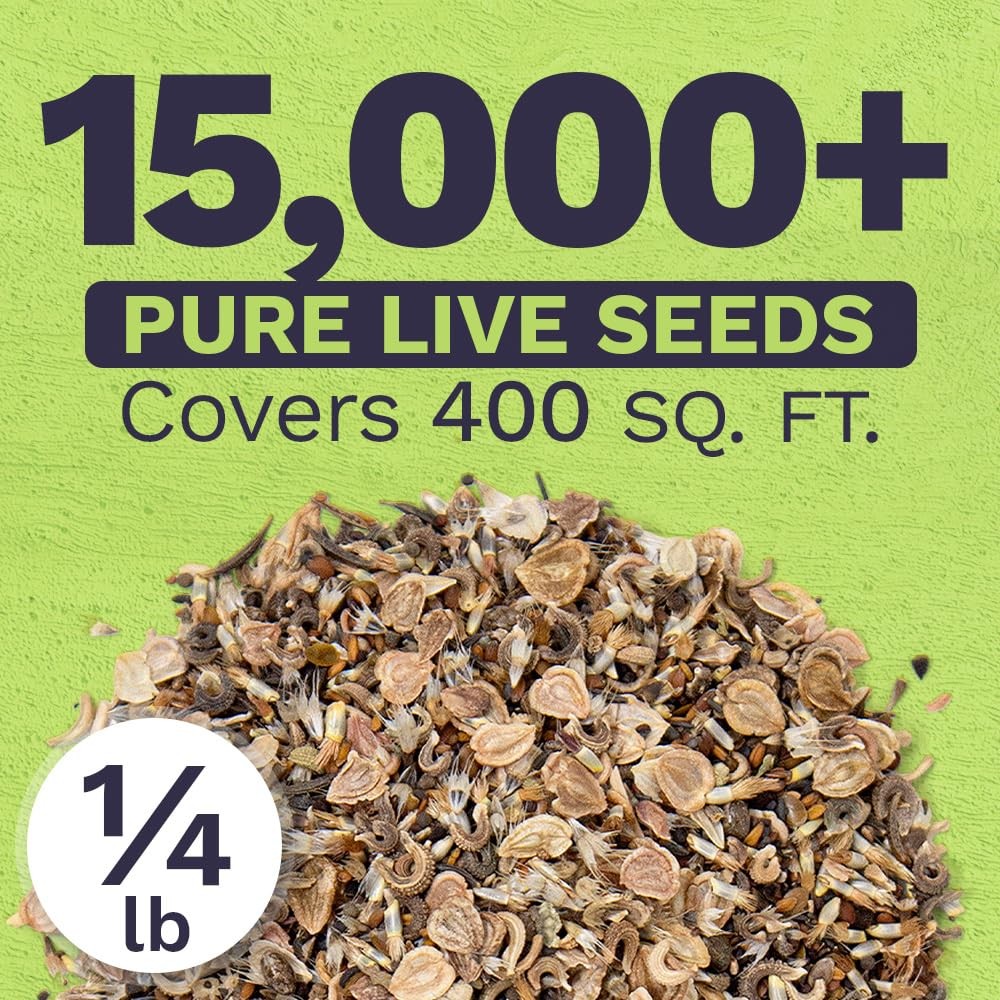Bulk Wildflower Seeds Annual Quick Blooming 1/4 Pound Bag, Multiple Colors