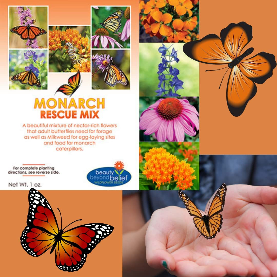 Monarch Butterfly Rescue Wildflower Seeds Mix Bulk Open-Pollinated Wildflower Se