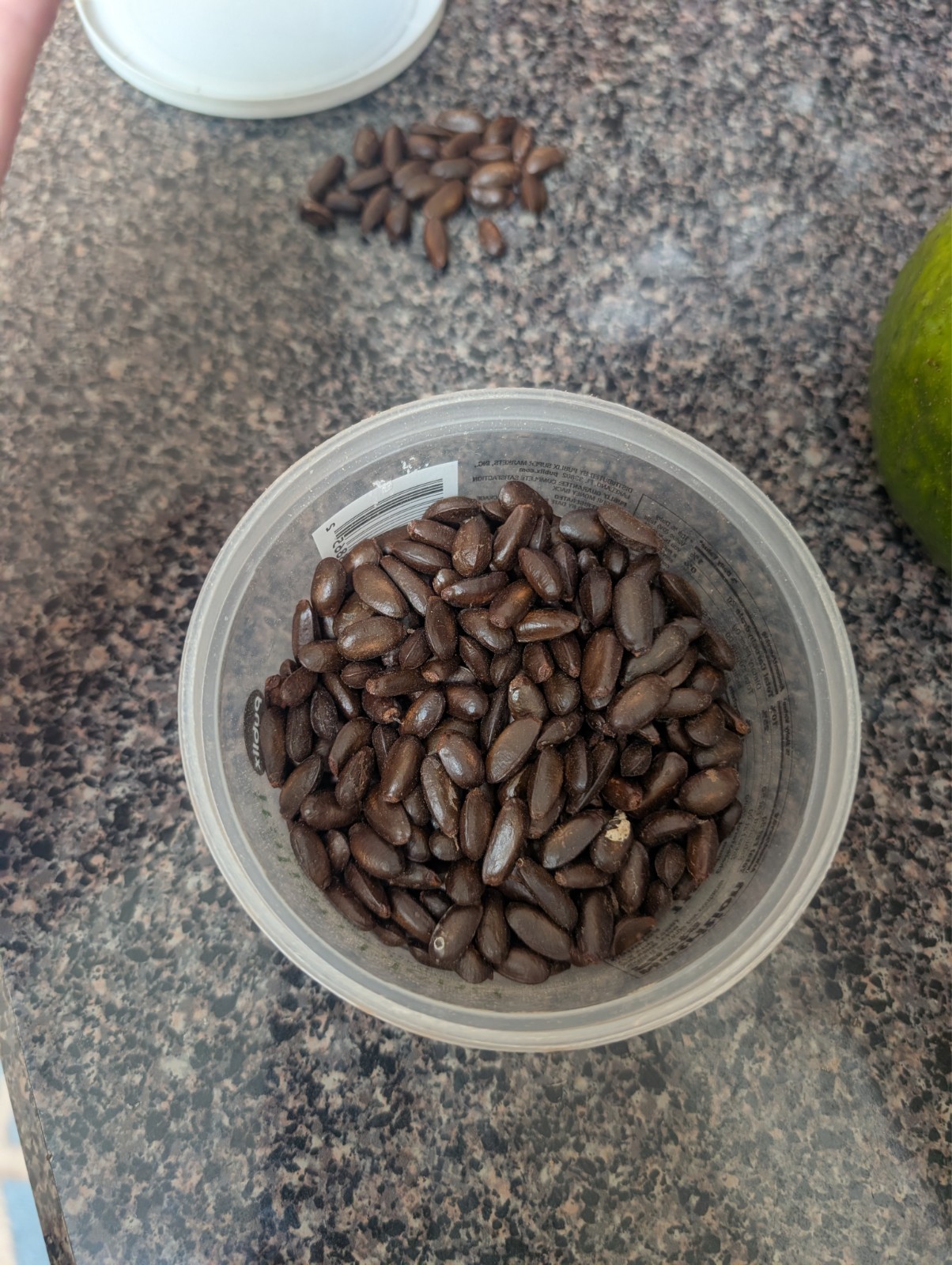 sugar apple seeds for sale