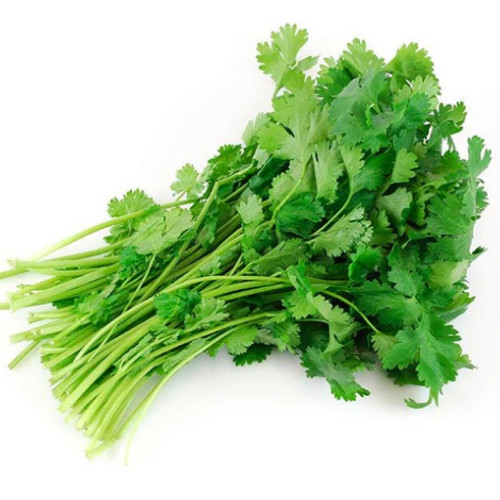 Cruiser Cilantro – 100 Seeds