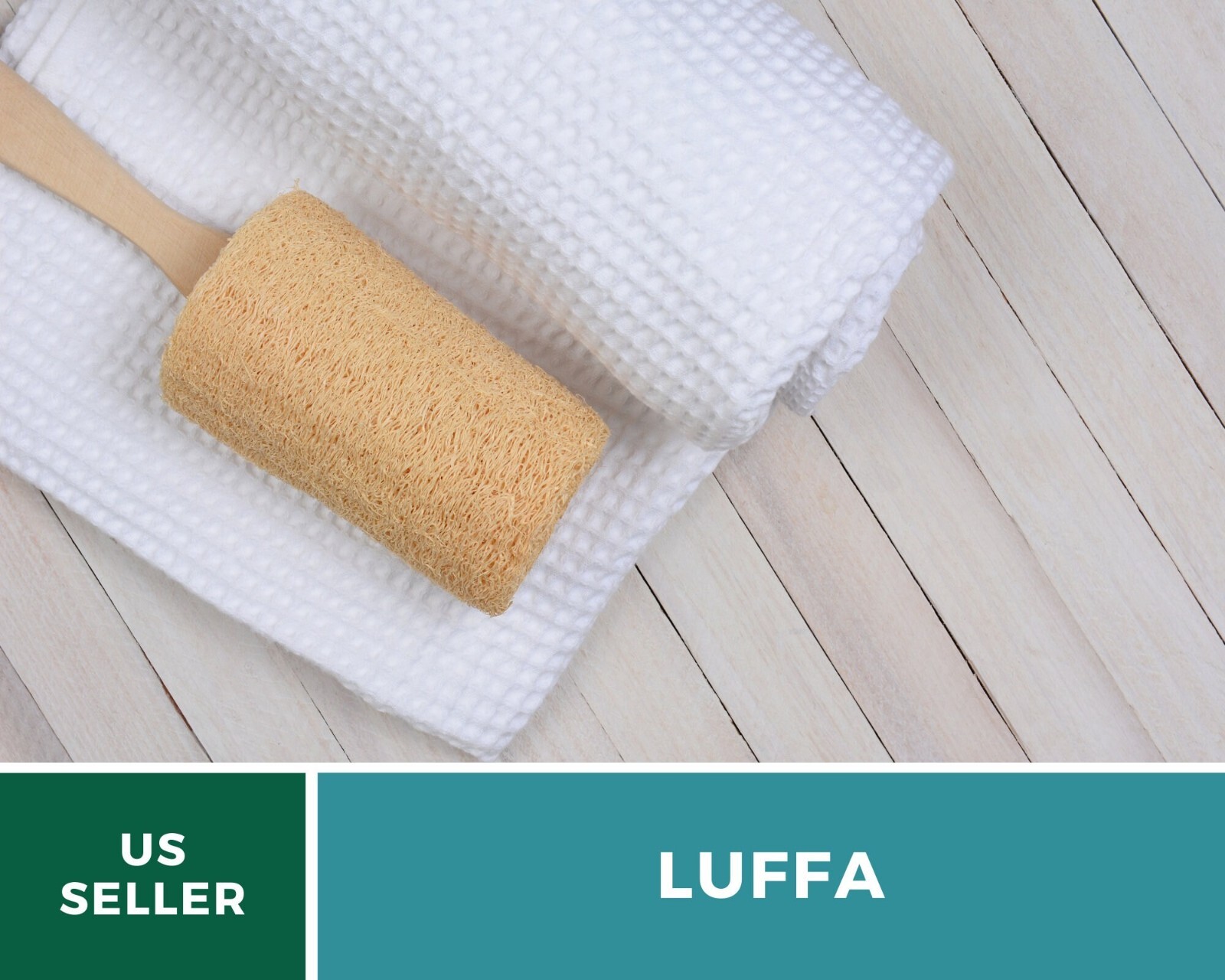 Gourd, Luffa – Heirloom Seeds – Grow Your Luffa Sponge (luffa cylindrica)