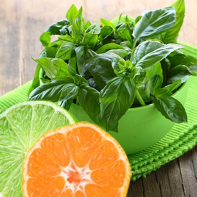 LIME BASIL SEEDS * CITRUS FLAIR * ZESTY AROMA OF LIME * 100 SEEDS* GOURMET *