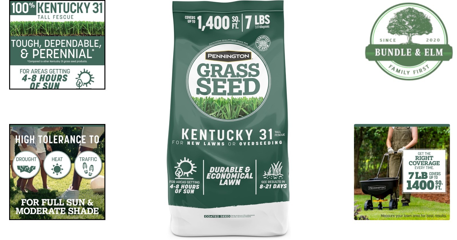 Kentucky 31 Grass Seed, 7 lb Bag, Perfect for Thick Blades & Tough Conditions