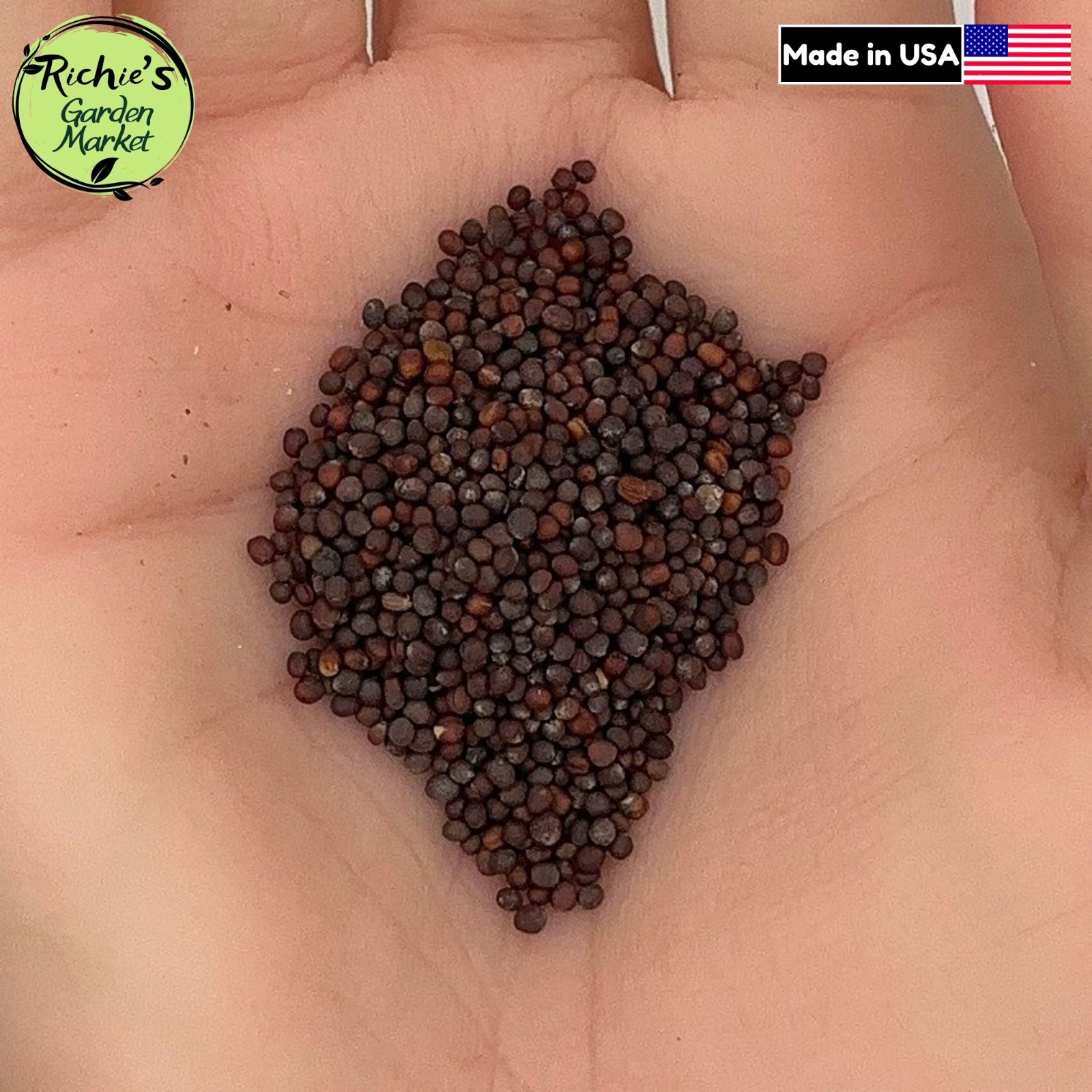 Mizuna Seeds, Japanese Mustard Green, Non-GMO, Fast Growing, Free Shipping