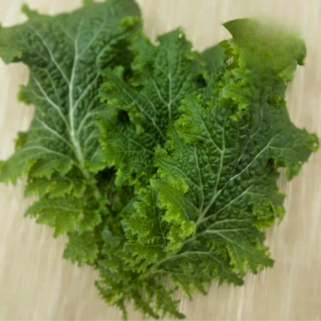 Fresh Wasabi Mustard Green Seeds | Heirloom Non-GMO | Asian Vegetable Seeds