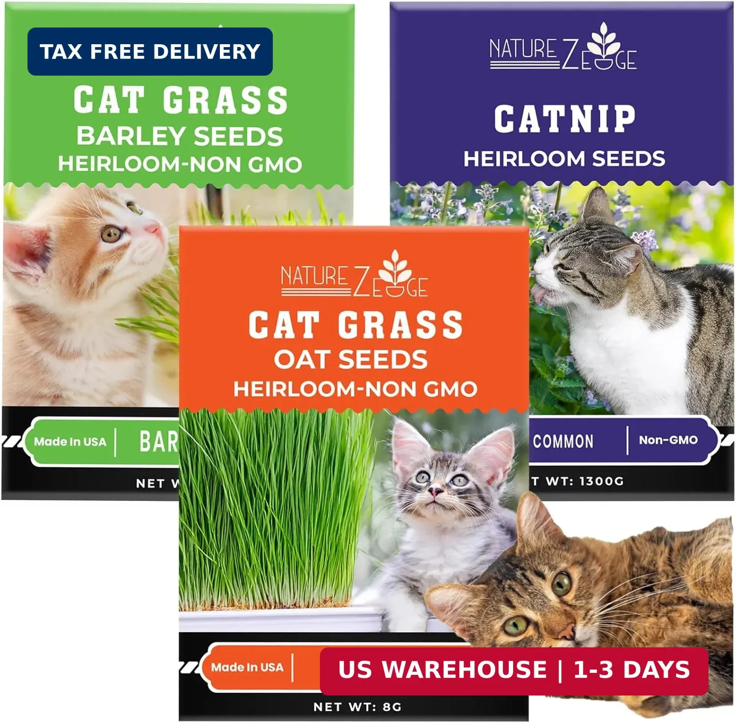NatureZ Edge Cat Grass Seeds & Catnip Seeds – 3 Pack Variety Kit, Cat Grass for