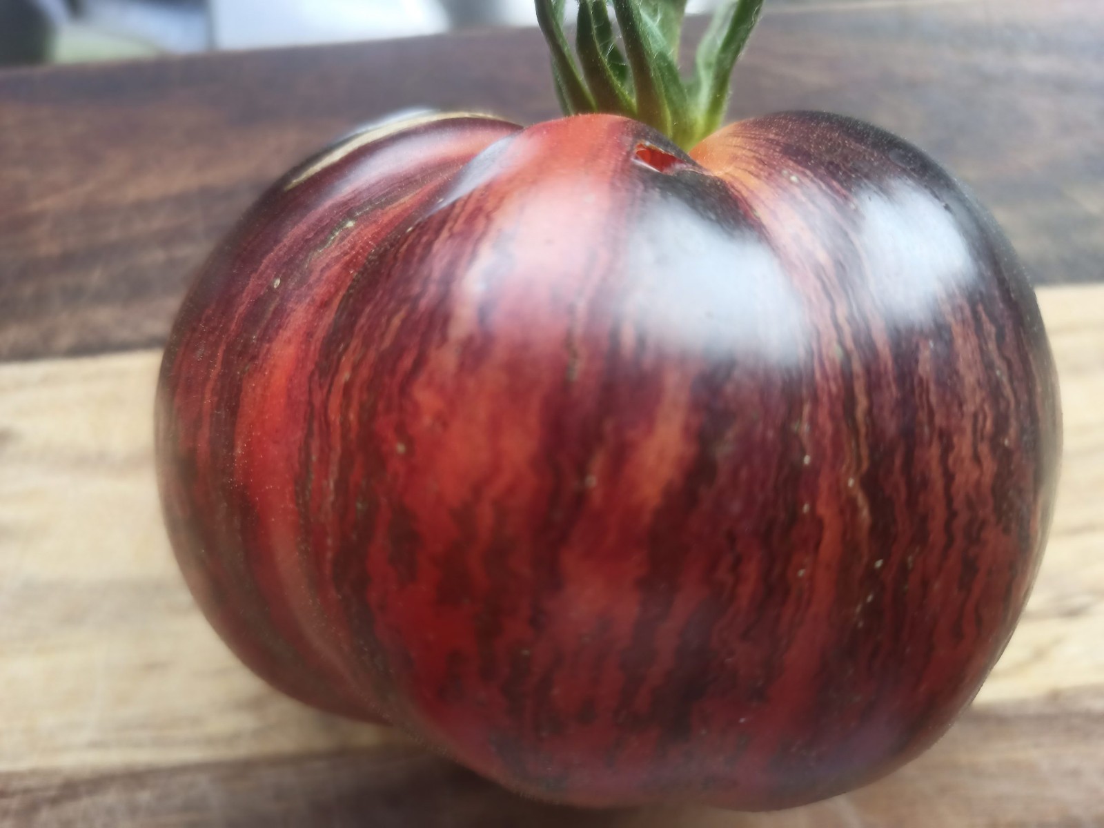 10 seeds Rebel Starfighter Prime Heart Tomato Rare ORGANIC Variety