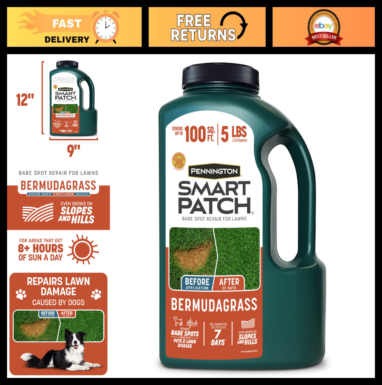 Bermuda Grass Seed 5 lb Jug – Smart Patch for Lush Lawn Repair & Growth