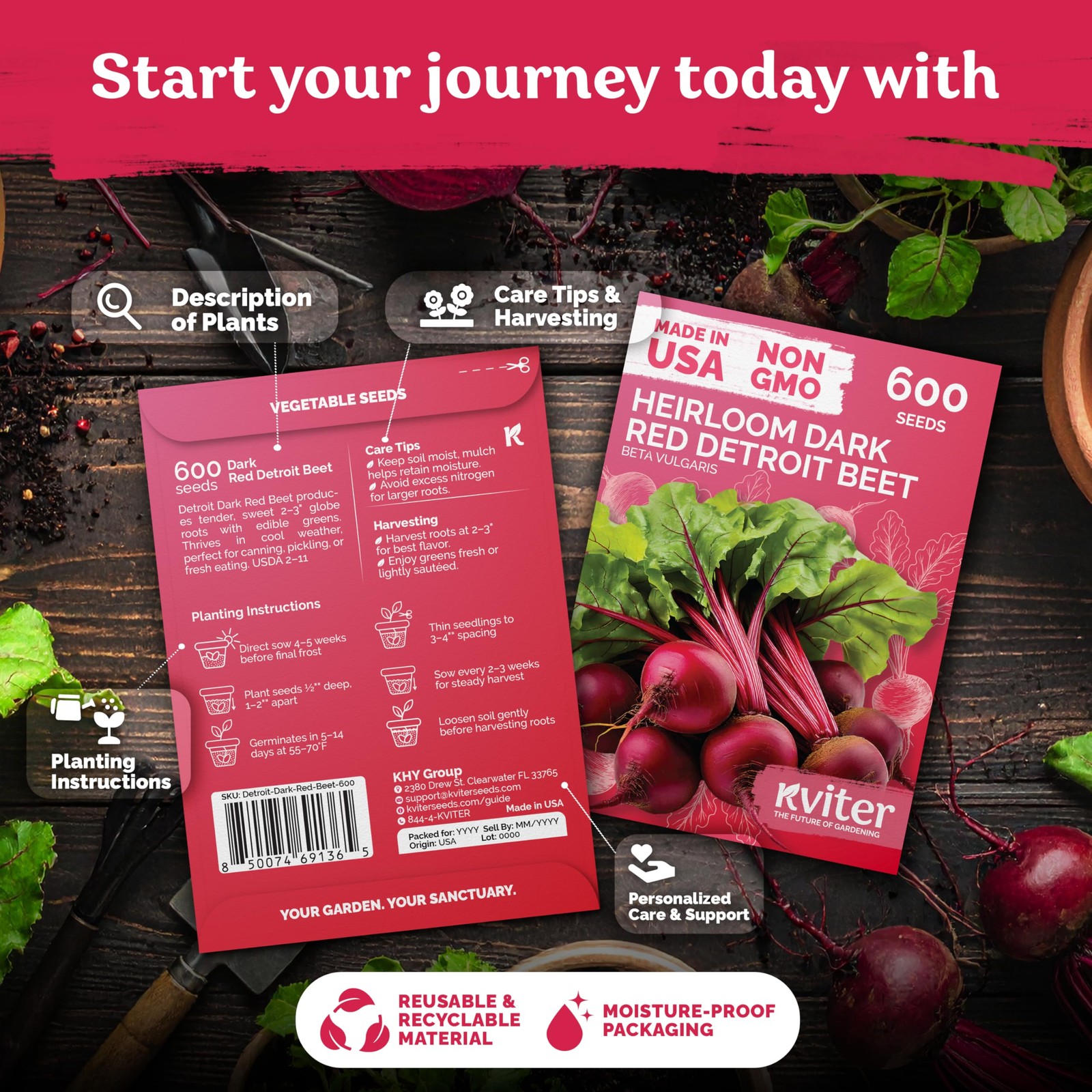 KVITER 600 Detroit Dark Red Beet Seeds (Beta vulgaris)