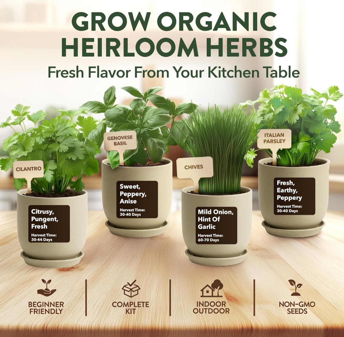 American Brand Herb Seeds Kit, Complete, Tools Included, Indoor & Outdoor