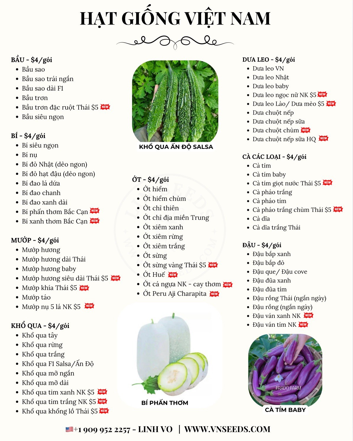 Hat Giong Cai Meo Ha Giang Mustard Seeds – Serrated Leaf – US Seller-Fast Ship
