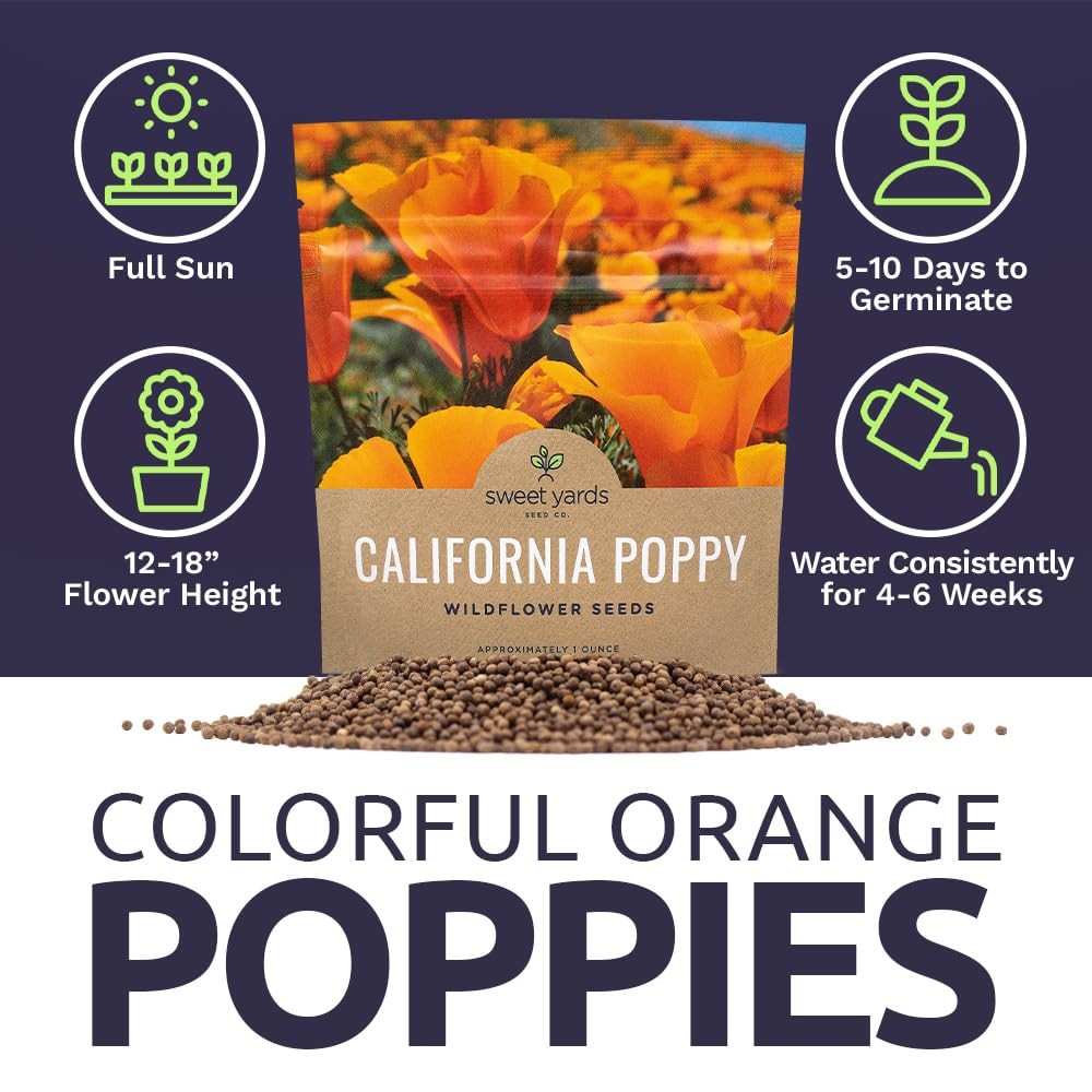 California Orange Poppy Wildflower Seeds Bulk 1 Ounce Packet Over 20,000 Na…