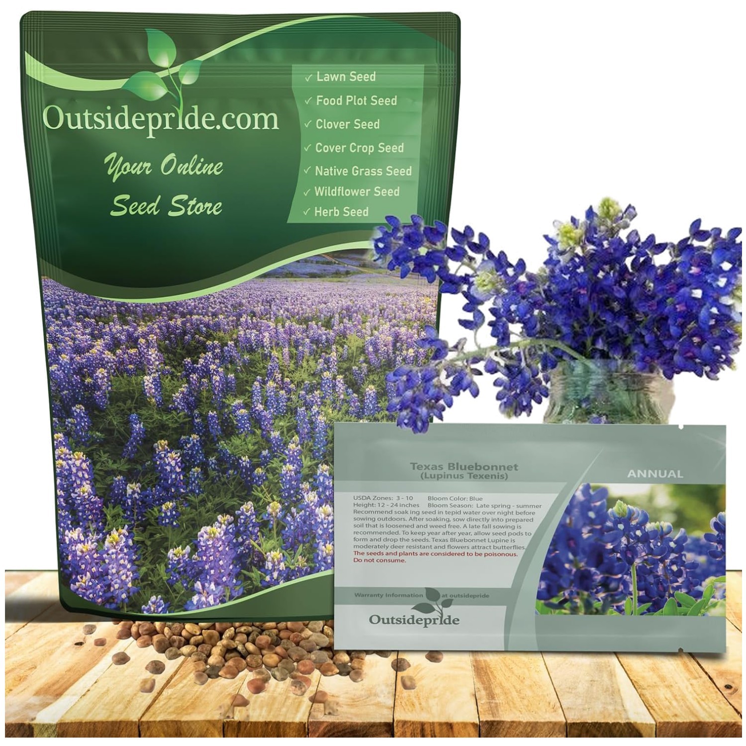 Lupinus Texensis Seeds – Thrive in Full Sun & Sandy Soil