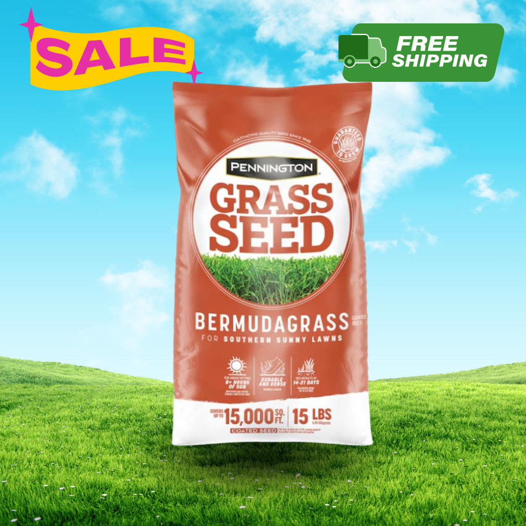 [HOT SALE] Pennington Bermuda Grass Seed 15 lb Bag Covers Up to 15,000 Sq Ft