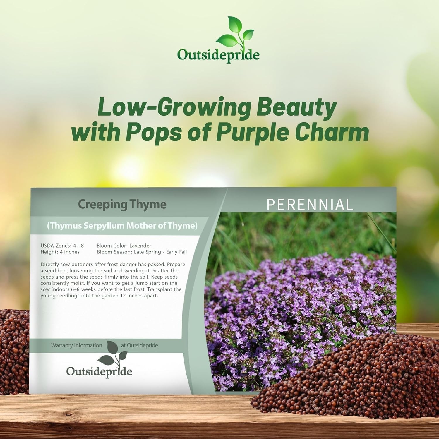 5000 Seeds Creeping Thyme Seeds For Planting | Mother of Thyme Ground Cover Seed