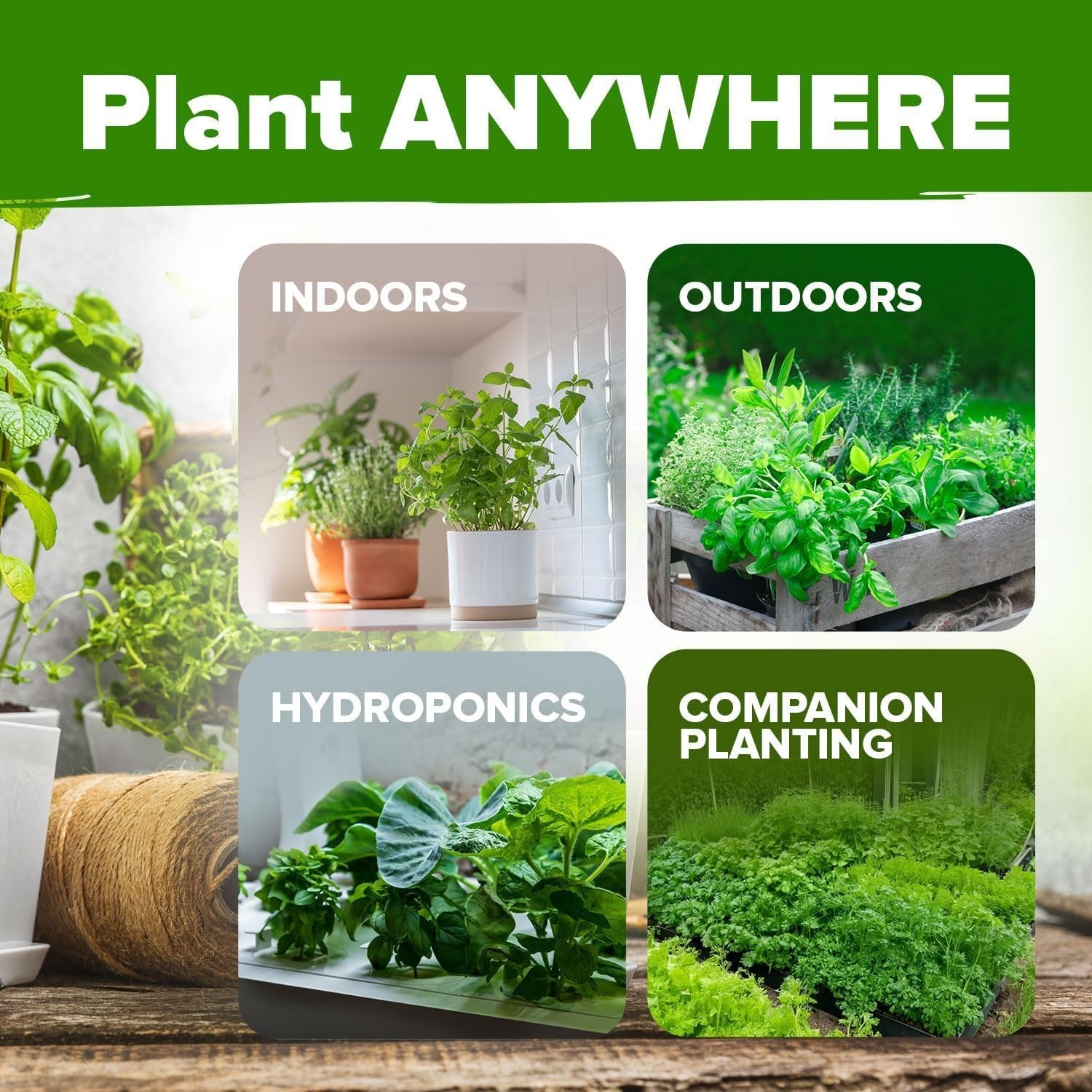 Organic Herb Seeds Variety Pack – Non-GMO Heirloom, 2500+ High-Germination Seeds