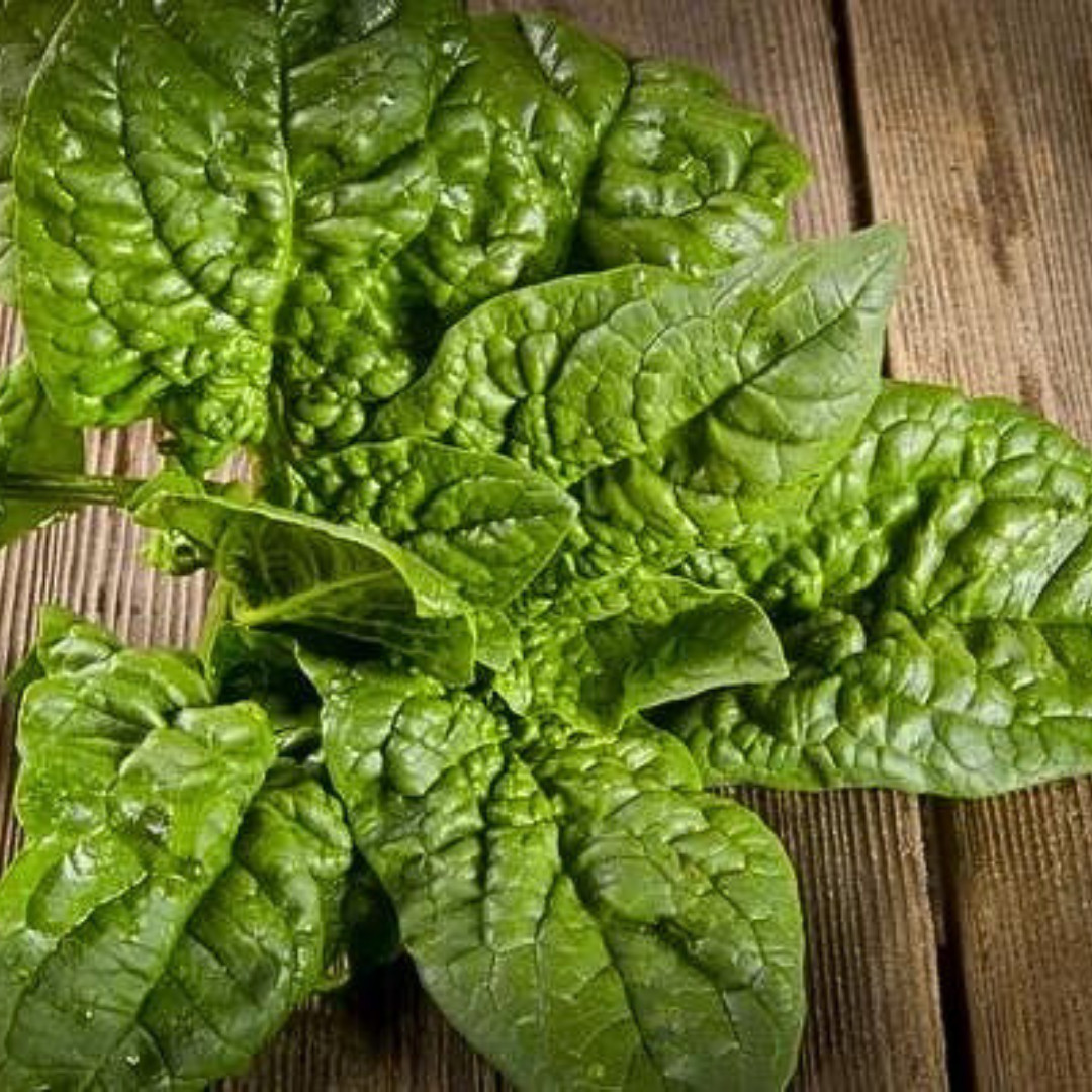 Fresh Premium Bloomsdale Spinach Seeds | Heirloom Non-GMO | Vegetable Seeds