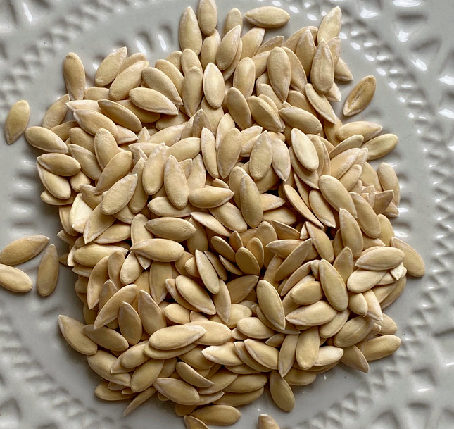 60 Heirloom “Hoodoo” Melon Seeds – American Classic Cantaloupe – Very Sweet