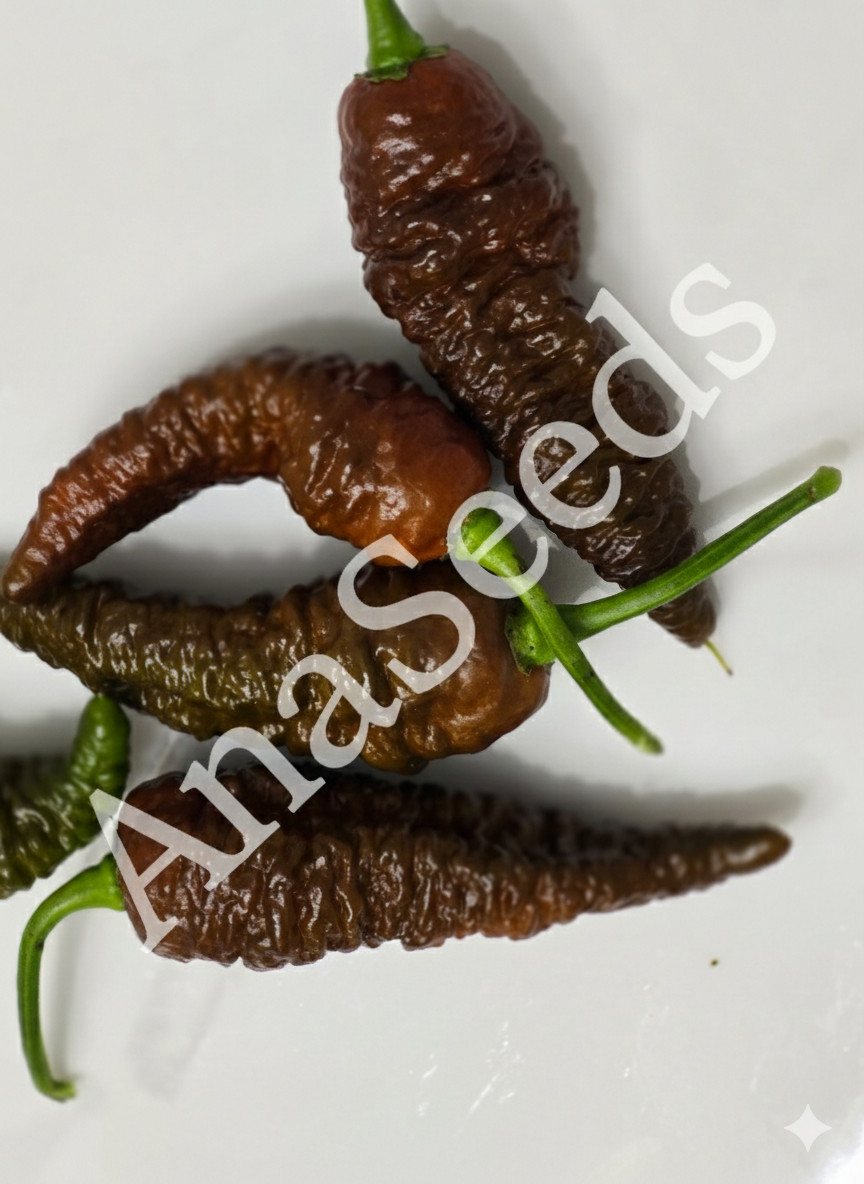 Ghost peper seed mix packet, White ghost, Carolina Reaper, Scotch bonnet scorpio