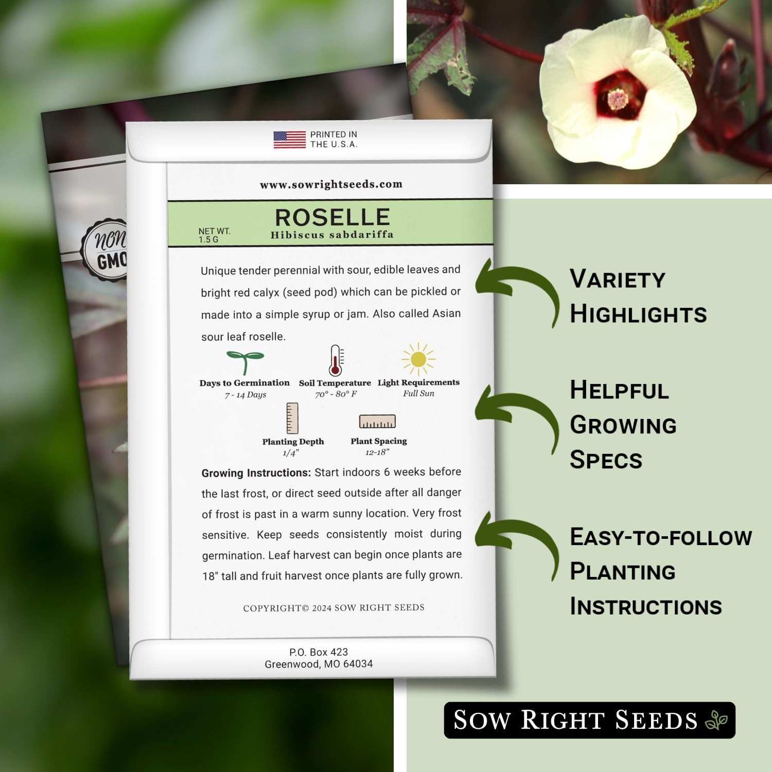 – Roselle Seeds for Planting – Hibiscus Sabdariffa – Non-Gmo Heirloom Variety –