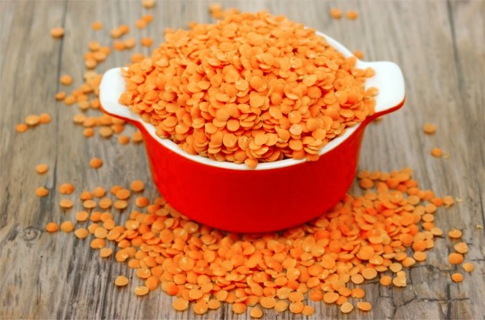 100 RED LENTIL Lens Culinaris Vegetable Seeds *Combined Shipping