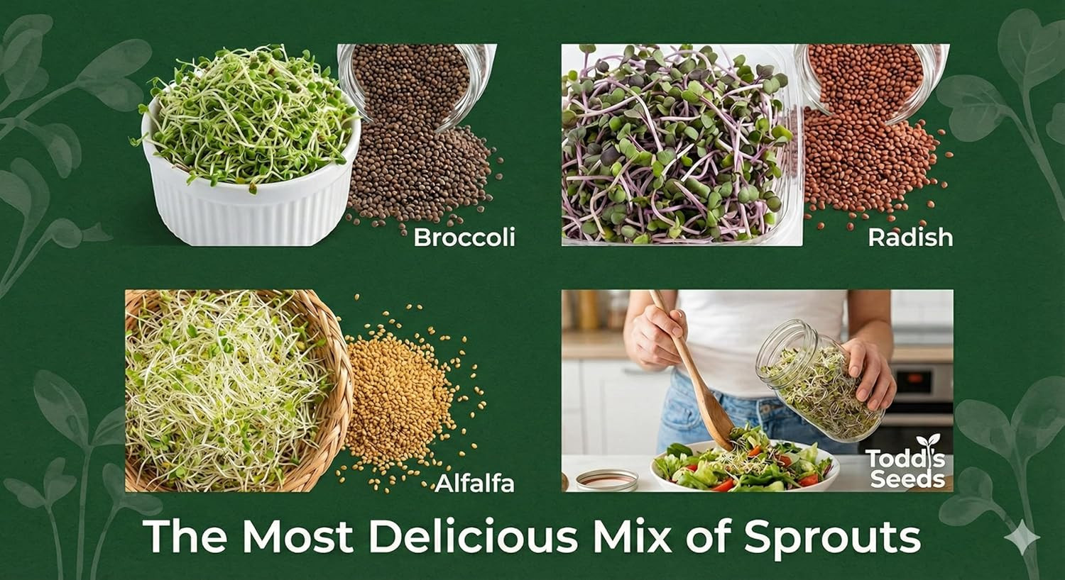 Todd’s Seeds Sprouting Seed Mix; Broccoli, Radish, Alfalfa, Non-GMO, 1 Pound