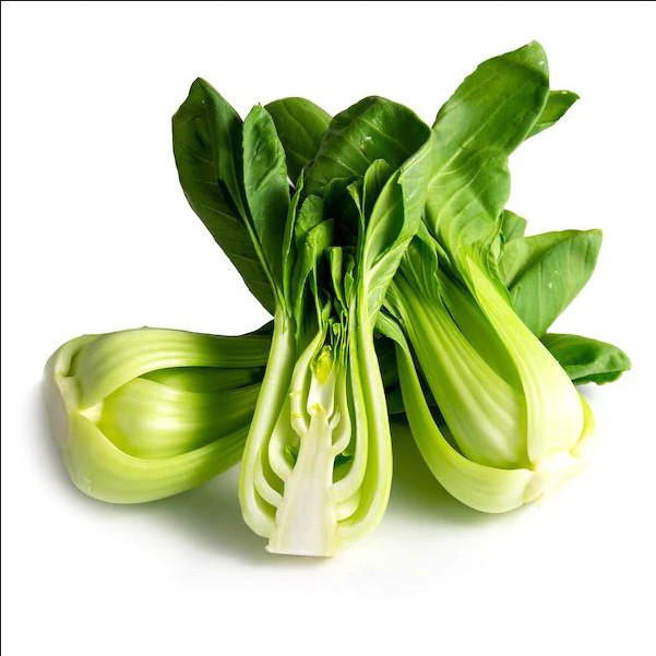 Shanghai Bok Choy Seeds (Green Stem ) | Pak Choi Cabbage BIG SALE