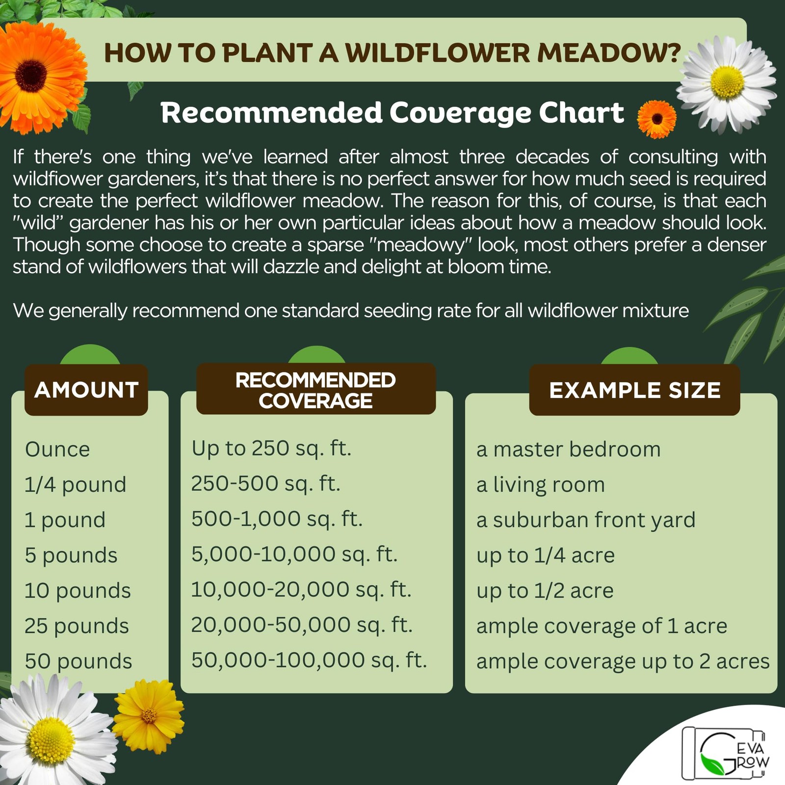Regional Wildflower – Northeast USA Wildflowers – 100% Pure – Organic, Non-GM…