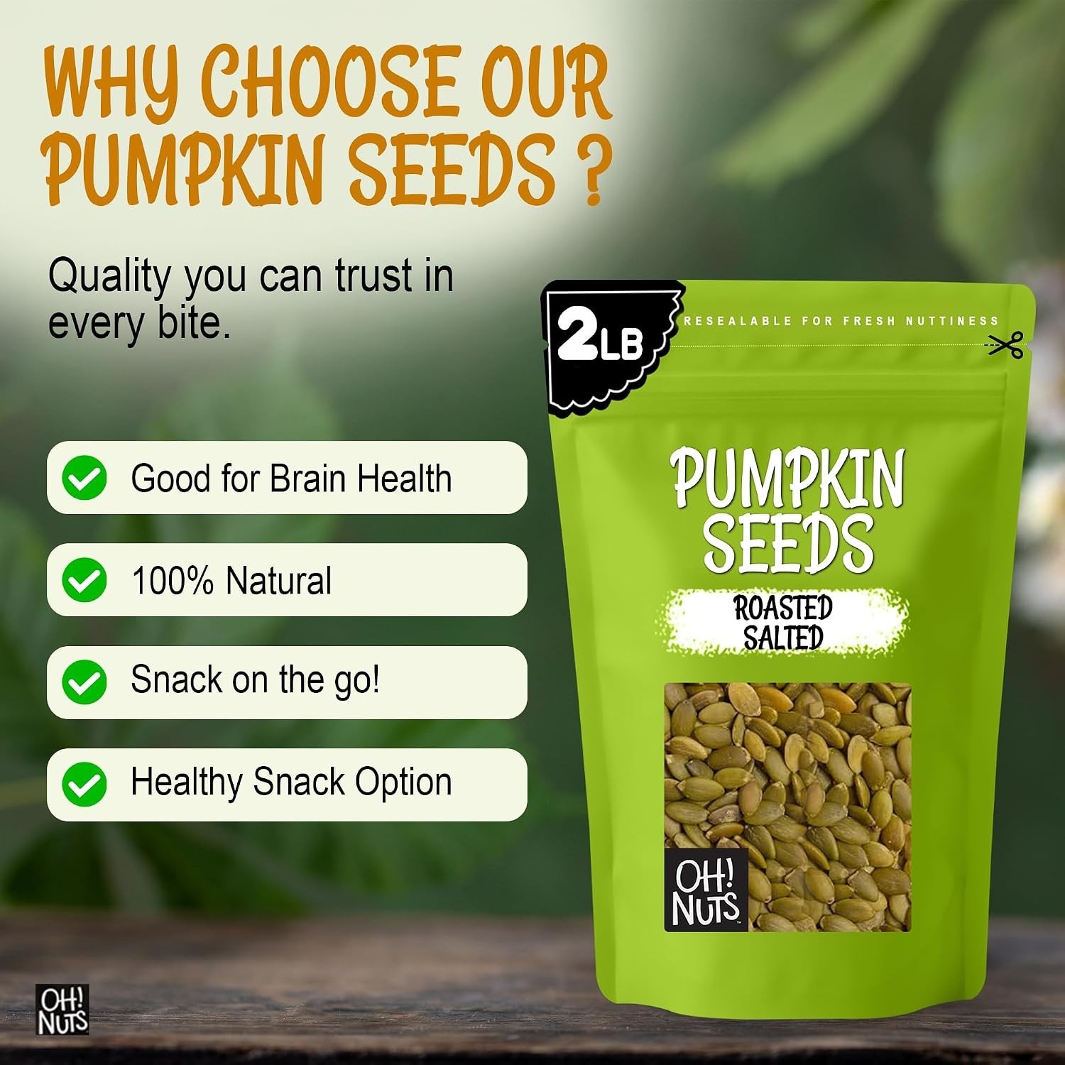 Kosher Certified Roasted Pumpkin Seeds – 2 lb Pack