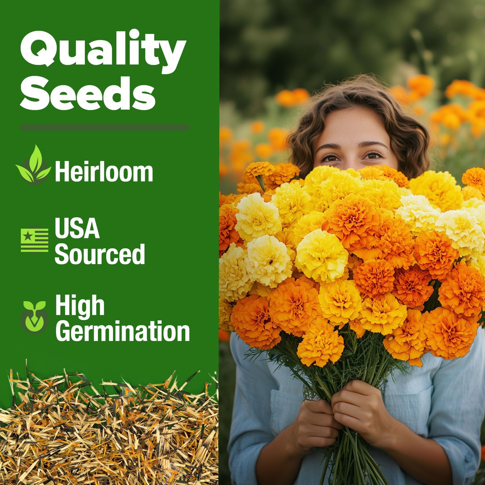 HOME GROWN Marigold Seeds Bulk Mix – 5600+ Crackerjack Marigold Flower Seeds for