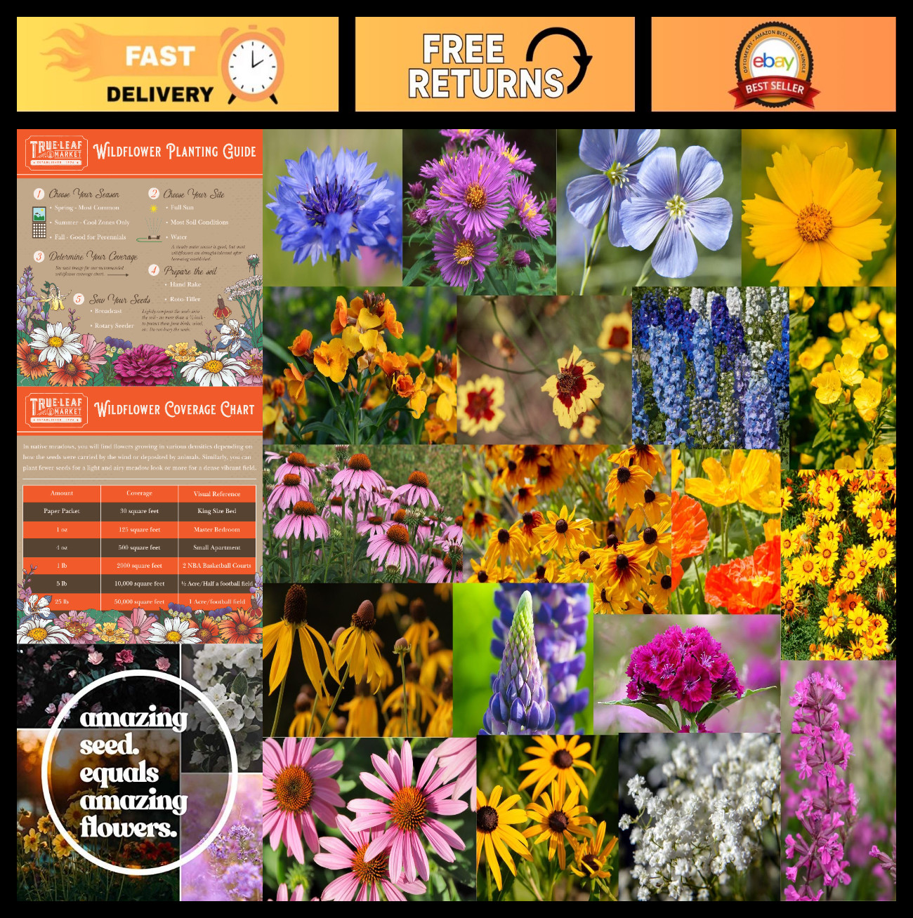 Midwestern Wildflower Seed Mix – 1 lb Bulk – 640,000+ Annual & Perennial Seeds –