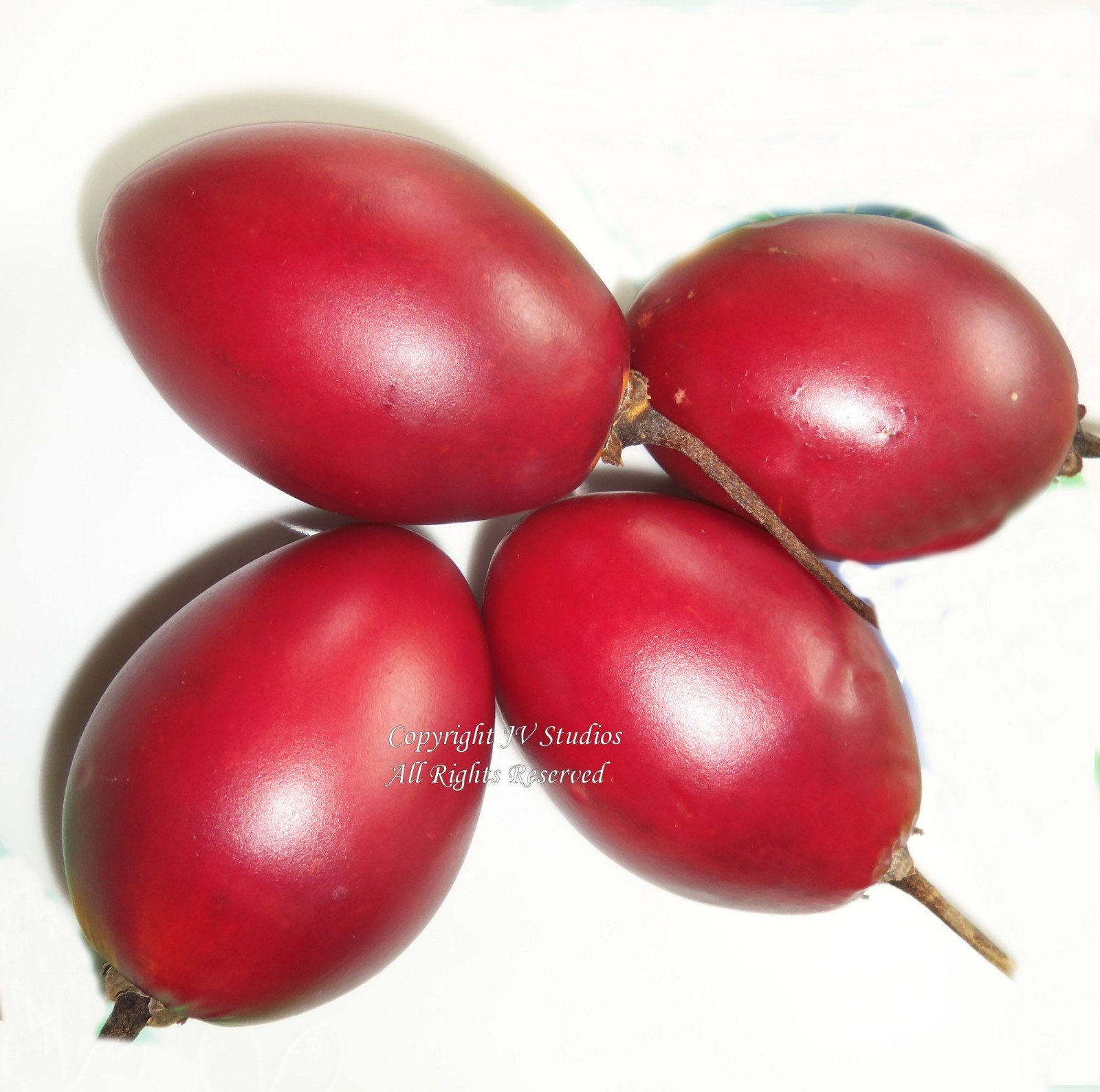10 Red Tamarillo Seeds! Tree Tomato- Solanum
