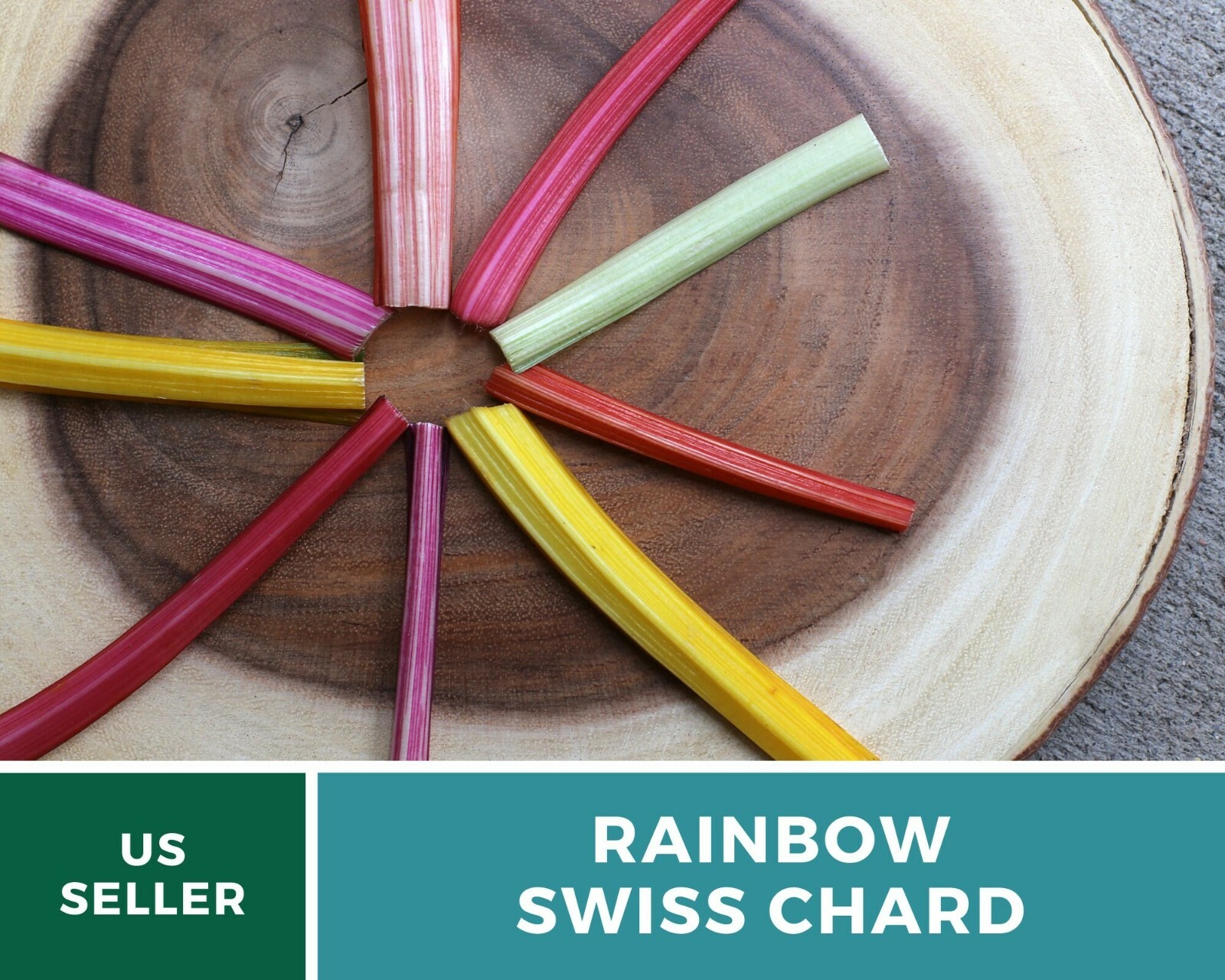 Swiss Chard, Rainbow – Heirloom Seeds – Spring or Fall crop – Non GMO (Beta vulg